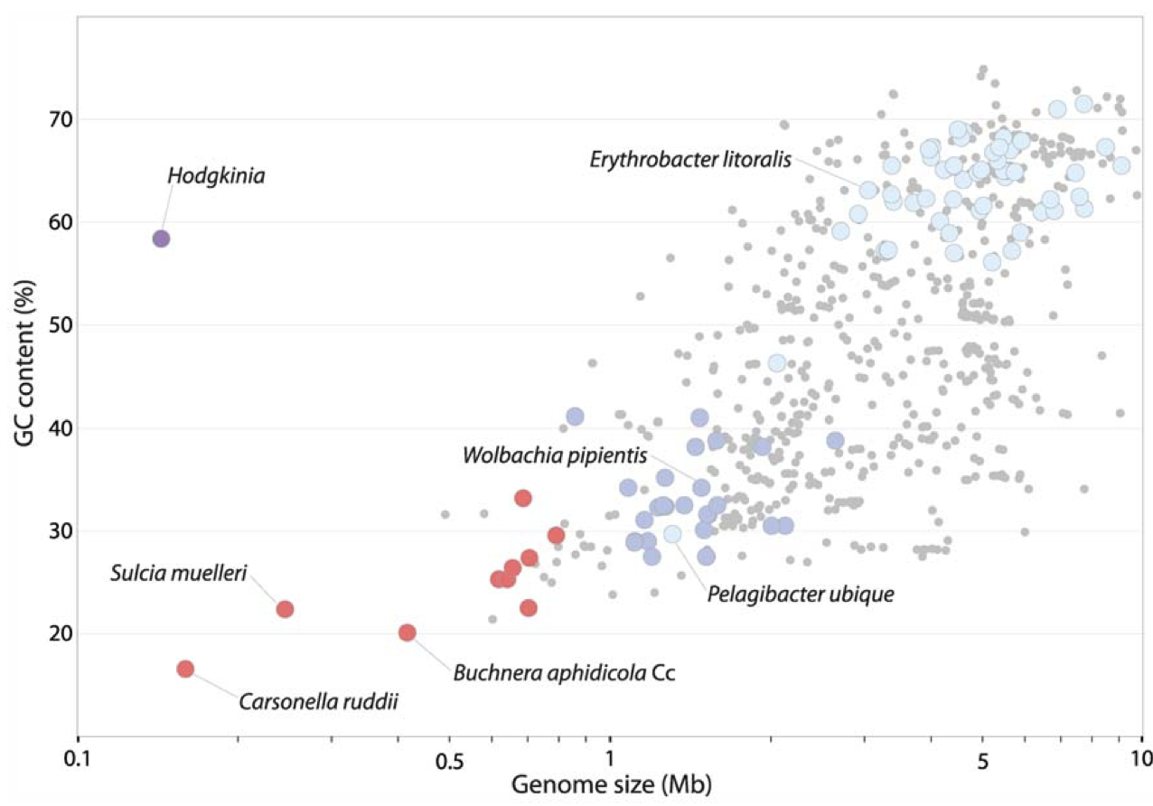 McCutcheon et al. 2009 PLoS Genetics figure