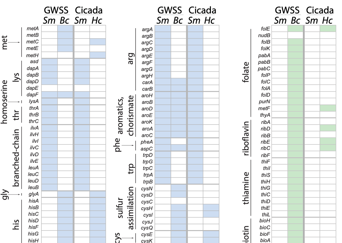 McCutcheon et al. 2009 PNAS figure