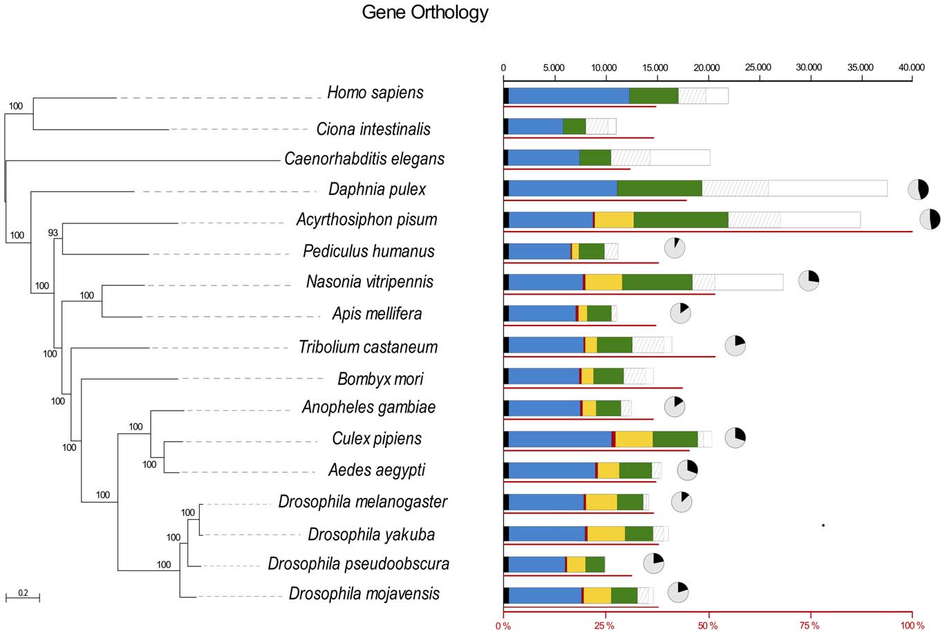 Aphid Genome Consortium 2010 figure