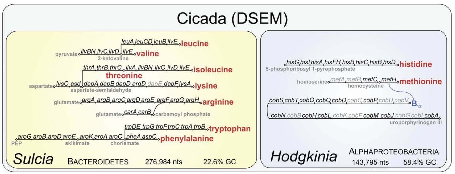 McCutcheon & Moran 2010 figure