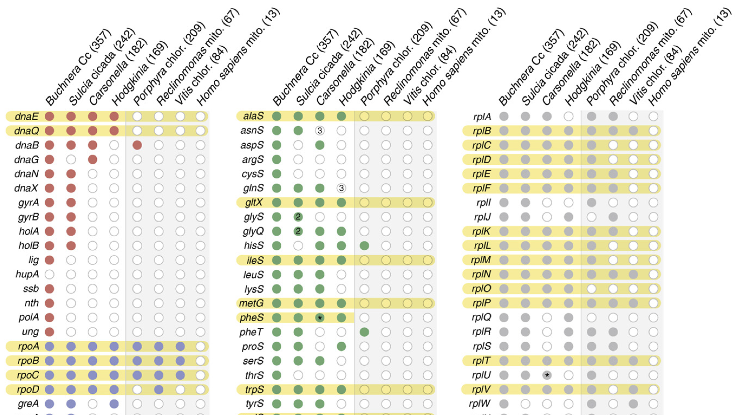 McCutcheon 2010 figure
