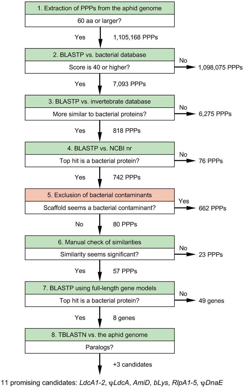 Nikoh et al. 2010 figure