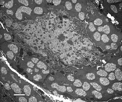 McCutcheon & Moran 2012 figure