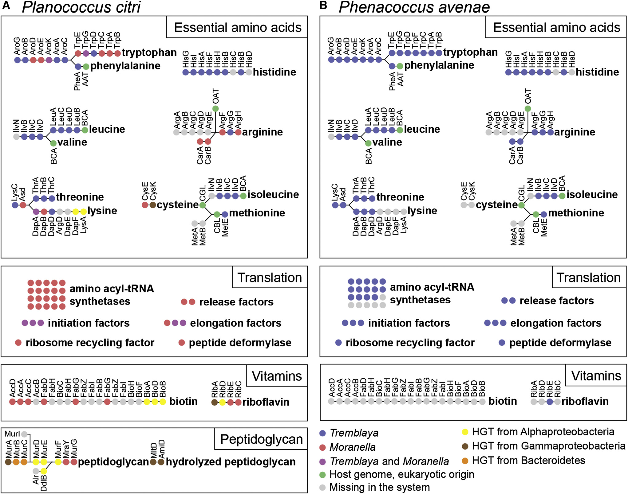 Husník et al. 2013 figure