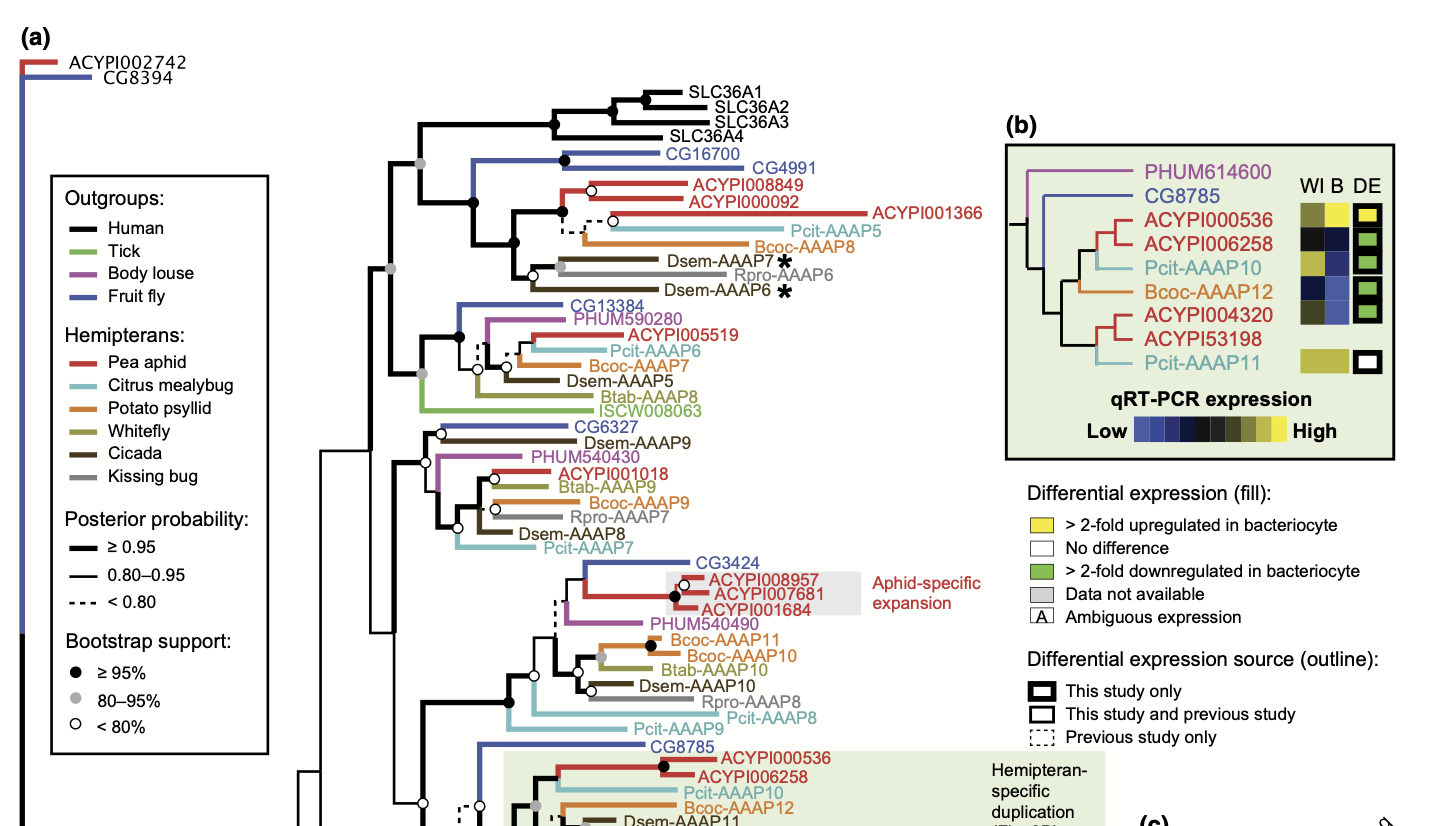Duncan et al. 2014 figure