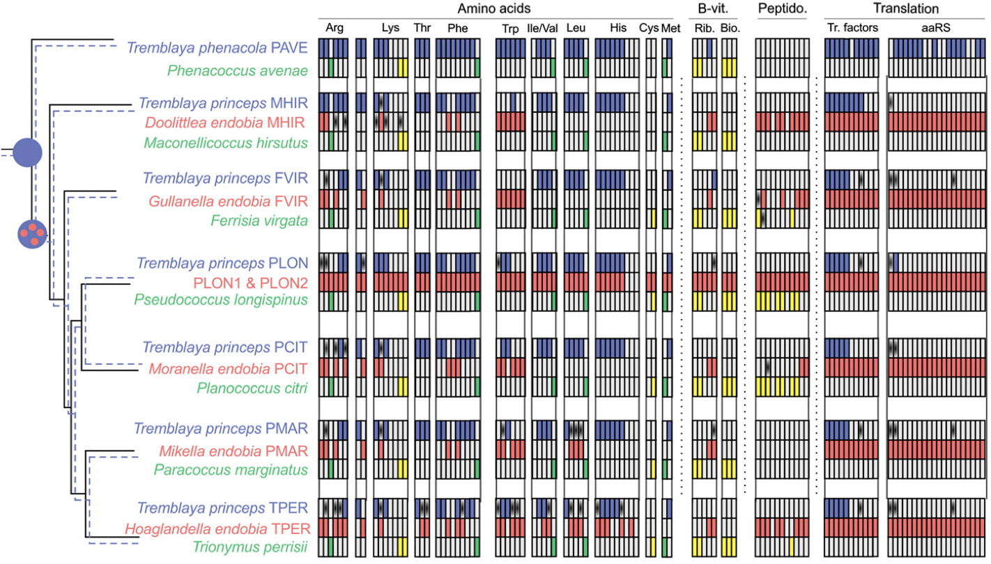 Husník & McCutcheon 2016 figure