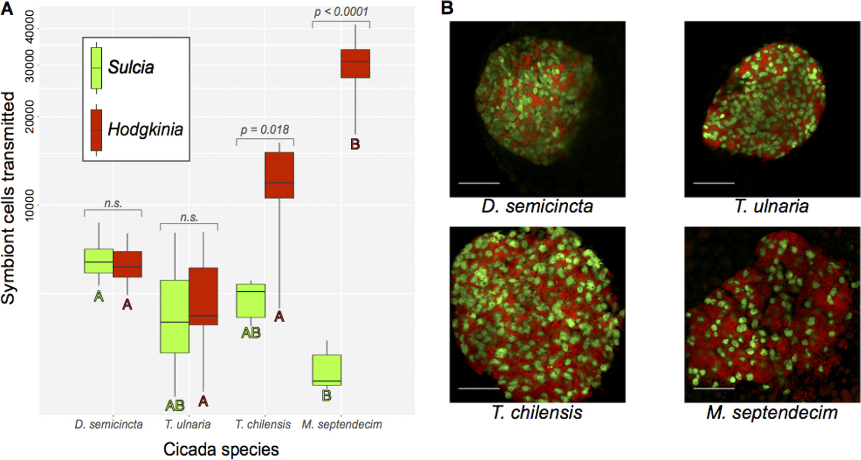 Campbell et al. 2018 figure