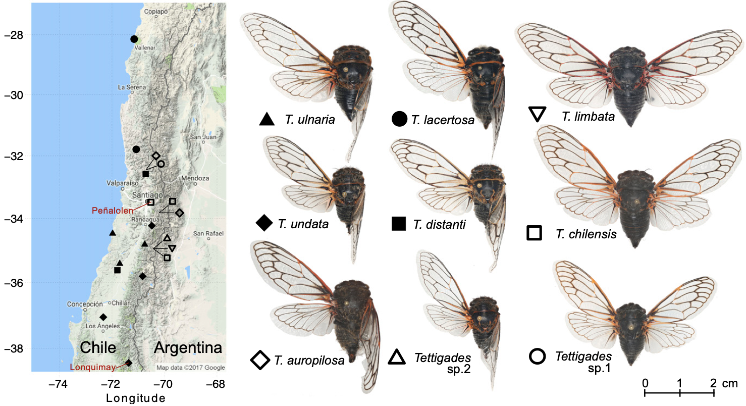 Łukasik et al. 2018 PNAS figure