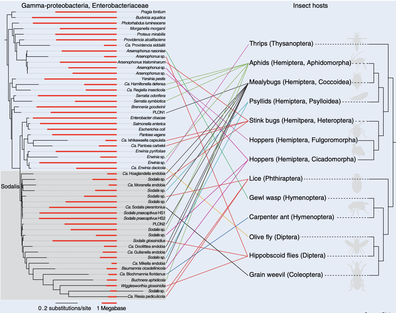 McCutcheon et al. 2019 figure