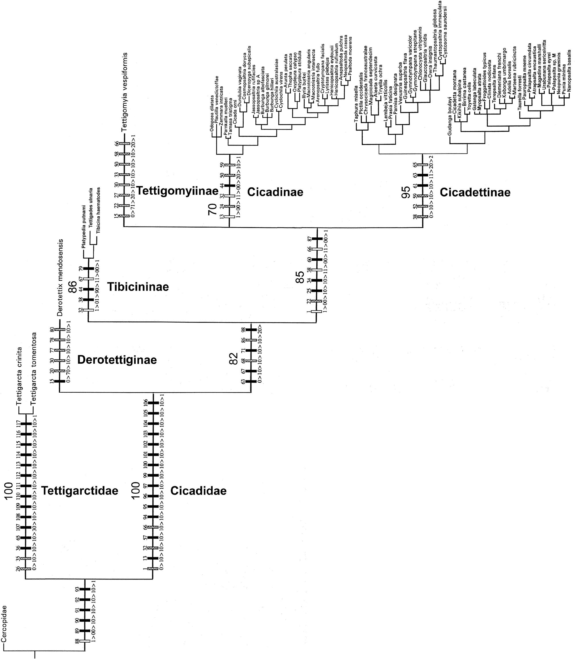 Simon et al. 2019 figure