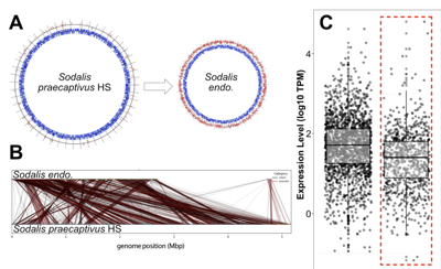 Garber et al. 2026 figure